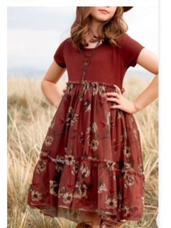 Mia Joy Other - Mia Joy Girls Lorelei Dress Cinnamon Floral Ruffled tulle size 12 NEW